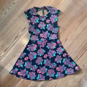 Aritzia / Talula Dress with Rose Floral Pattern